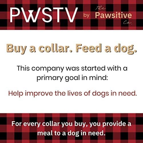 PWSTV Nyakörv által A Pawsitive Co. Vegyél egy Nyakörv. Takarmány egy Kutya. Tartós, Nylon Kiskutya Kutya